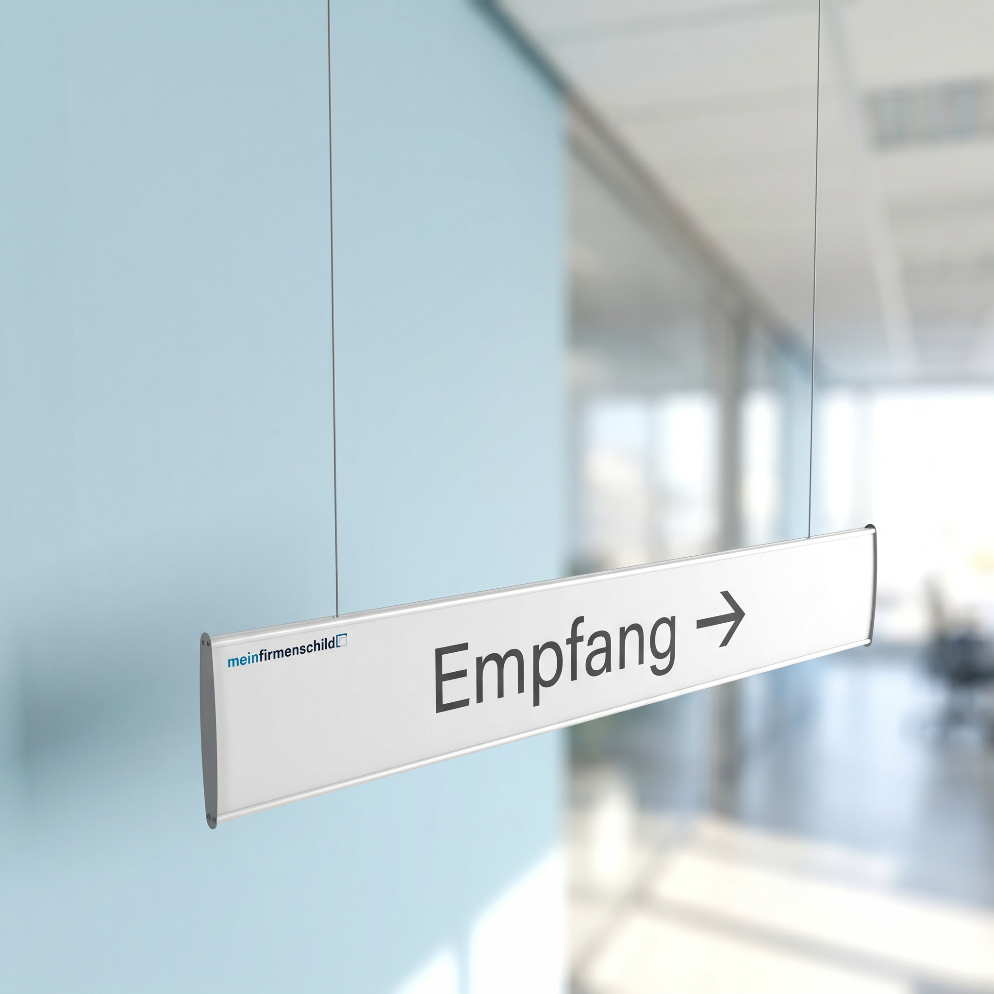 Tahoe Deckenschild · 800 × 133 mm · Anwendungsbild (meinfirmenschild)